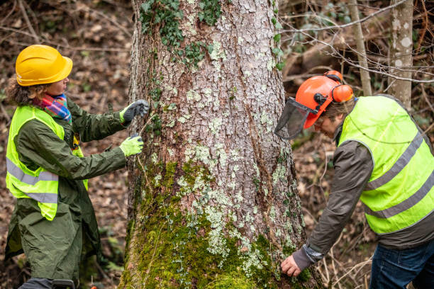 Soil Testing and Treatment in Spring Hill, TN